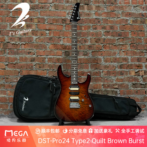 （已售定制参考）T's Guitars  DSTPro24 Type2 3A Brown Burst - 封面