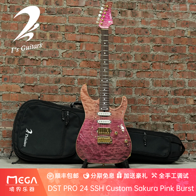 T'sGuitars电吉他24SSH
