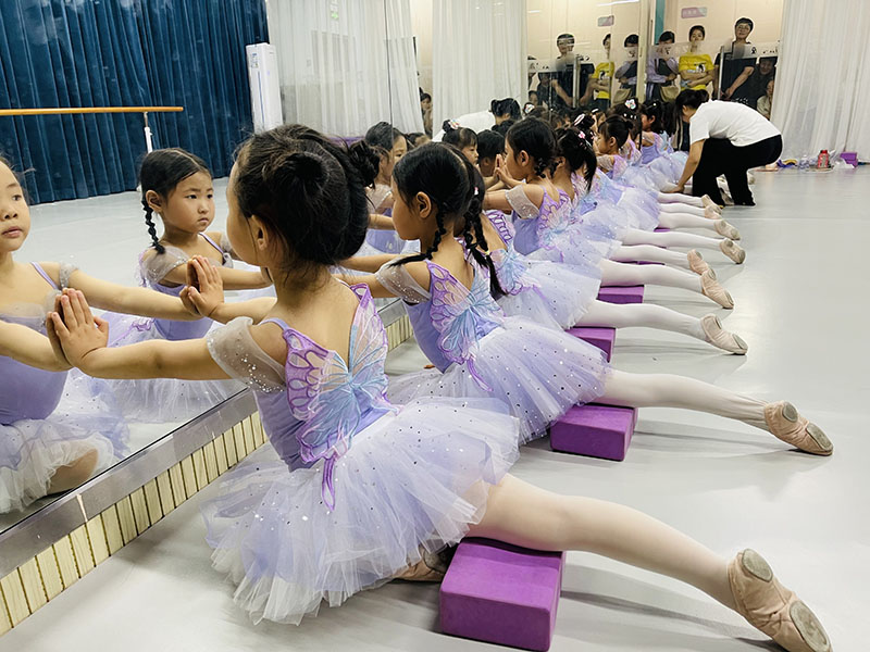 红舞裙女童演出公主裙芭蕾舞