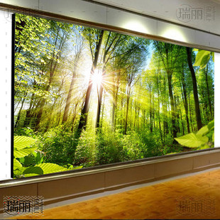 3D森林卡布灯箱画风景假窗户背景墙植物树林办公室装饰广告牌软膜