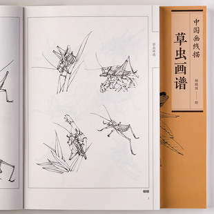 草虫画谱中国画线描图谱临摹范本国画线描白描底稿技法工笔画蝈蝈花鸟