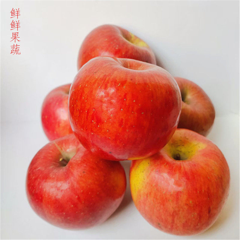 正宗陕西延安红富士苹果脆甜多汁2025当季冰糖心新鲜水果整箱包邮