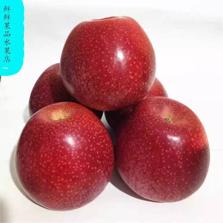 新鲜水果秦冠苹果粉面香甜宝宝刮泥陕西苹果老人孕妇应季面苹果,水产肉类/新鲜蔬果/熟食,苹果,淘宝优惠券,粉丝福利购,淘宝优惠卷