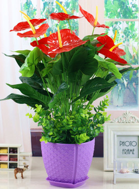 仿真绿植红掌假花客厅装饰绿色植物落地假花盆栽塑料花盆景摆件放