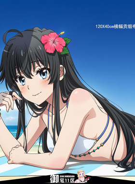 雪之下雪乃由比滨结衣一色挂画