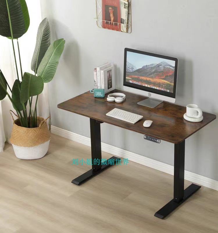 DIY仿真模型迷你小玩具