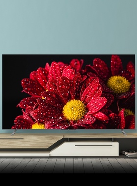 TCL 75T8E Max 75英寸QLED量子点超高清智能网络平板液晶电视机