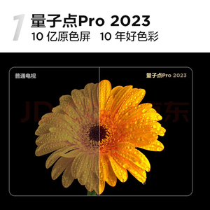 TCL 65J9H 65尺寸QLED原色4K高清量子点电视120Hz安桥音响