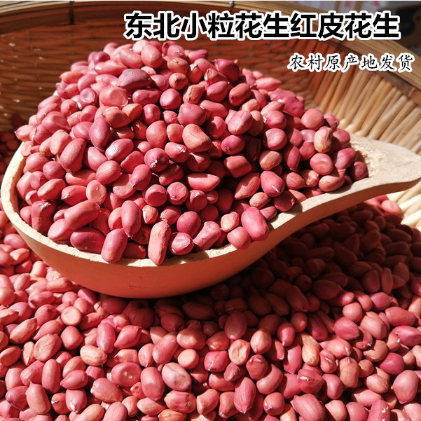 东北自产小粒花生2021新货红红皮