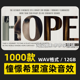 1000款情感气氛渲染音效憧憬希望宣传片旅拍转场FCPX达芬奇PR剪映