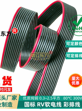 现货闪发 德立东方10P红边黑色排线RV纯铜并排线国标纯铜连接线材
