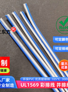 德立东方2P蓝白色排线1569双并线24AWG彩排线22AWG电子线20AWG