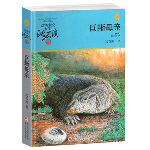 图书籍动物小说大王品藏系列小学生四五六年级儿童文学作品珍藏大全全集1全套单本一新版 完整版 沈石溪 包邮 蜥蜴 巨蜥母亲全本正版