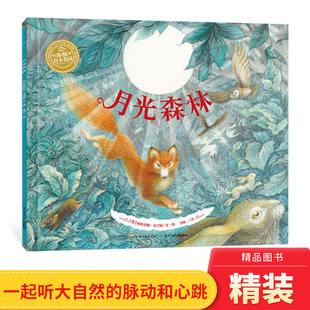 月光森林海豚绘本花园硬壳精装 童书 图画书适合3岁以上亲子共读正版
