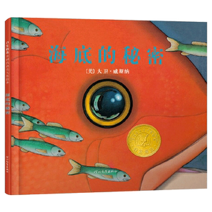 海底的秘密硬壳精装图画书启发美国凯迪克大奖绘本大卫威斯纳作品无字书4岁5岁6岁7岁8岁想象力传递友谊正版童书
