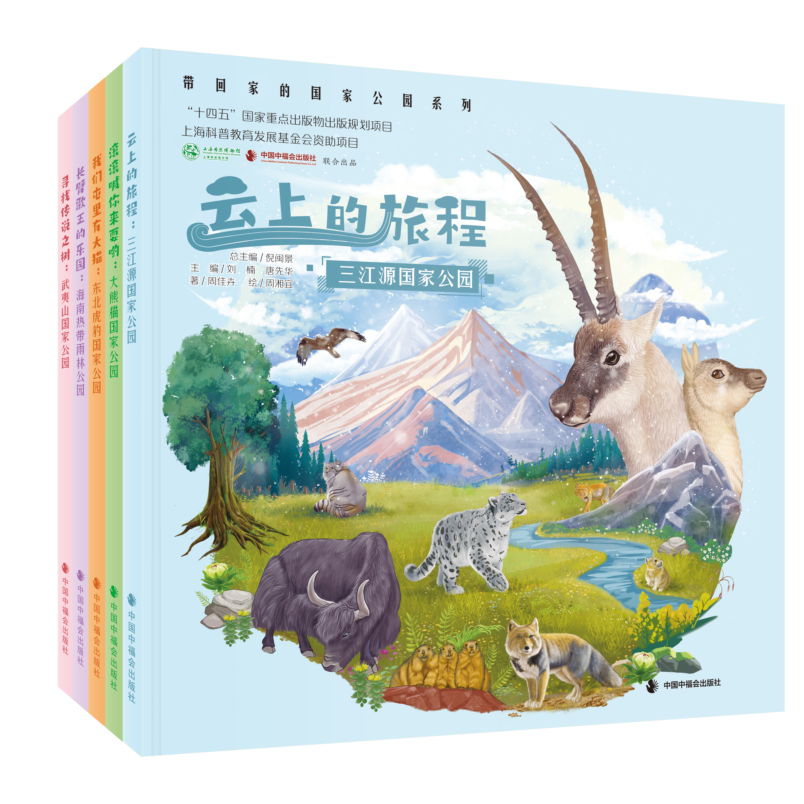 带回家的国家公园全5册系列图画书三江源大熊猫东北虎豹海南热带雨林武夷山中福会绘本正版 - 实物图
