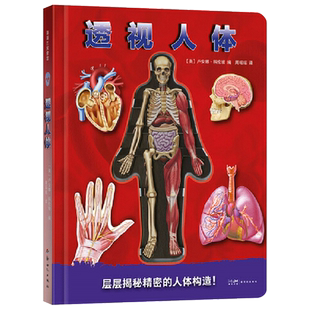 透视人体系列绘本精装5岁以上儿童海外专业科普编创幼儿园读物睡前故事亲子共读自然科普百科蒲蒲兰正版
