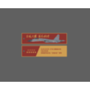 「王海大队薪火相传」苏27SK战机99年世纪庆典织唛钥匙扣挂饰航展