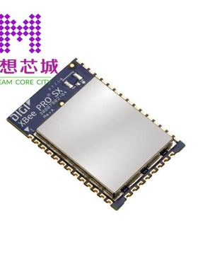 XBP9X-DMRS-001 XBP9X-DMRS-011 XBP9X-DMRS-021