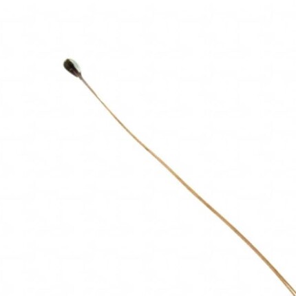 B57540G0104F000 B57540G0303F000 B57540G0502F000