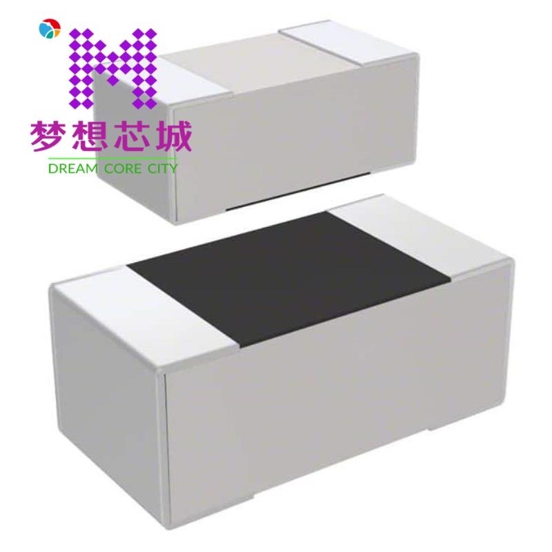 RC1005F106CS RC1005F124CS RC1005F103CS - 封面