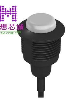 S22DLGRXP S22DLGRXPT S22DLGRYPT