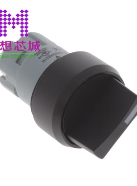 PB22SSRS21K PB22SSRS31K PB22SSRS32K