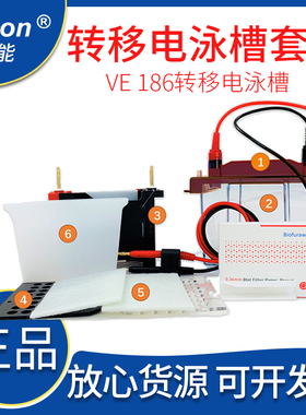 上海Tanon【天能】货号：186-1000 VE-186 转移电泳槽（标配）