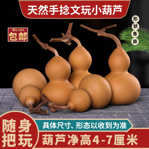 forsunny福三源葫芦天然生长