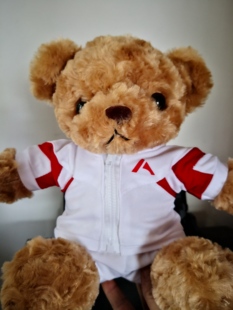 人大附中校服熊2023-初团购