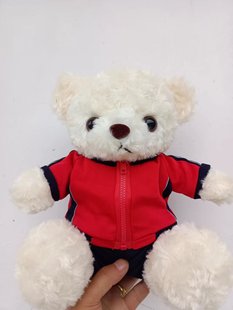 呼和浩特市四中4中校服熊公仔校园纪念品毕业升学伴手礼可定制