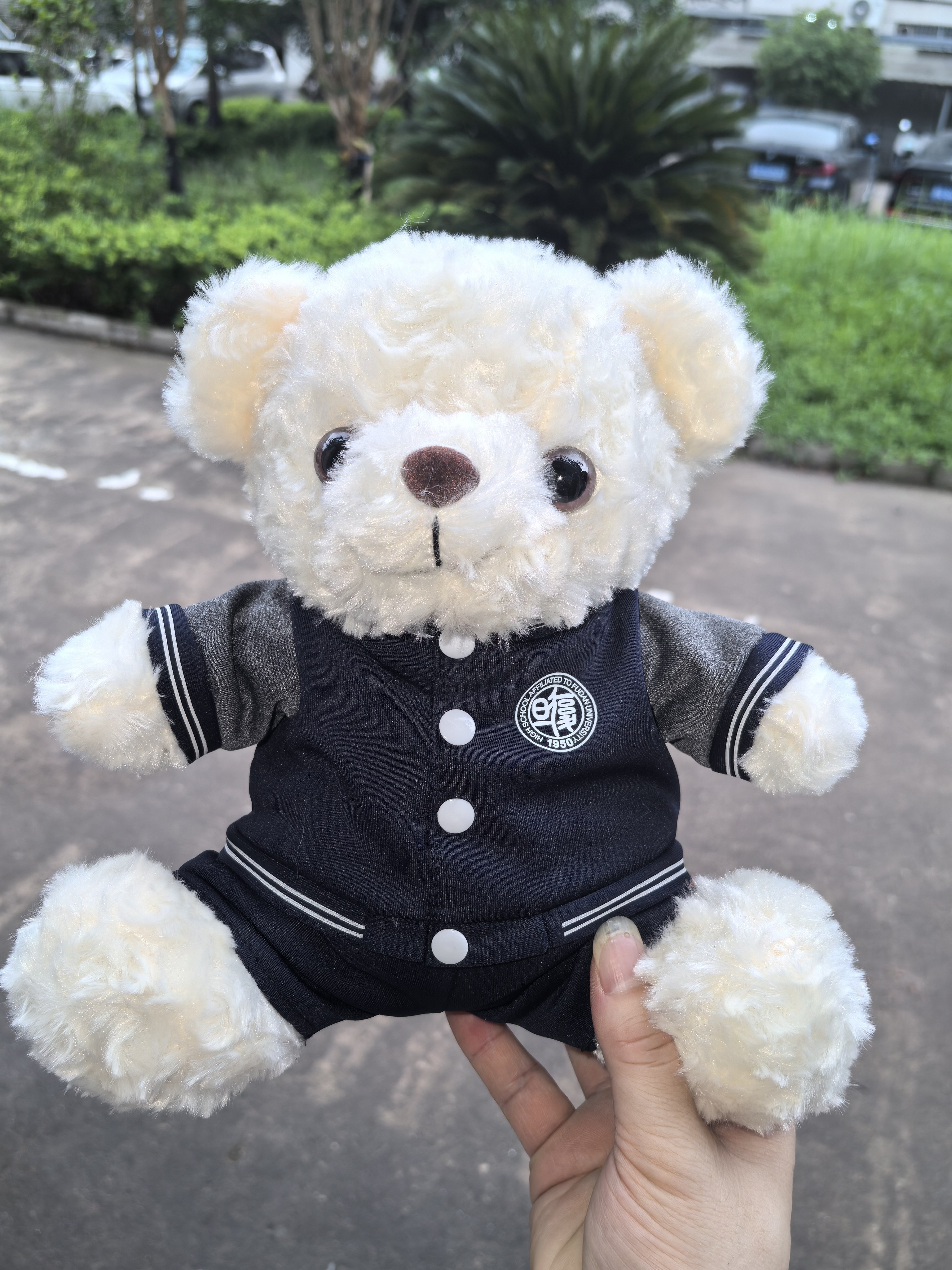 复旦大学附属中学校服熊（可定制定做各学校的校服熊）