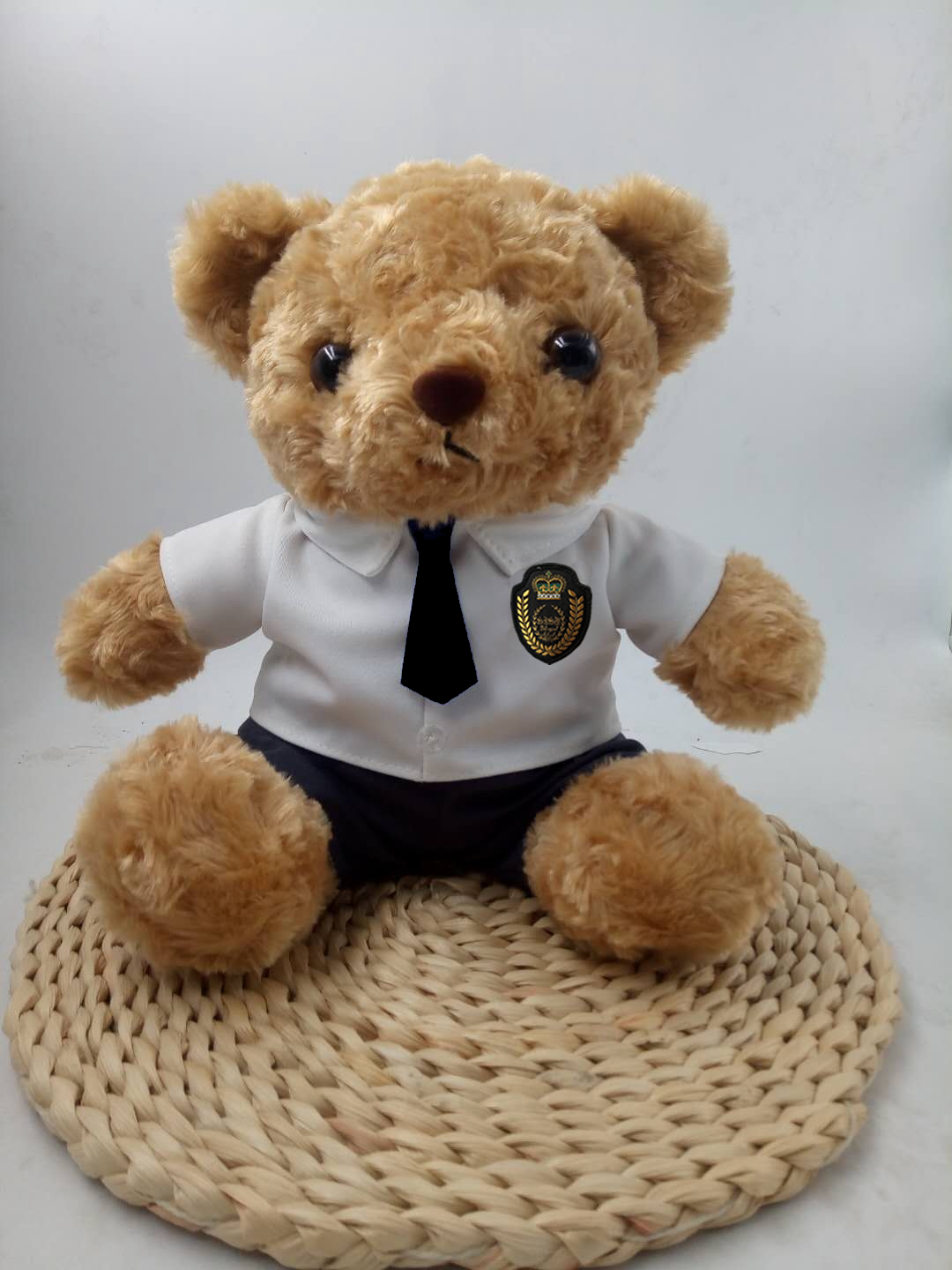 上海外国语大学双语学校校服熊(可定制定做各学校的校服熊)