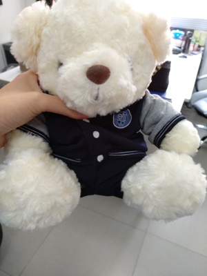 复旦大学附属中学校服熊（可定制定做各学校的校服熊）