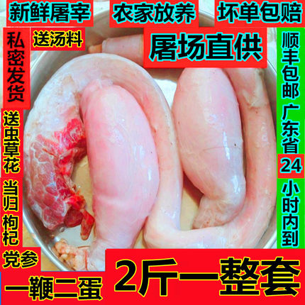 牛鞭新鲜2斤整套牛鞭牛宝放养黄牛现杀一鞭两蛋顺丰速运送汤料