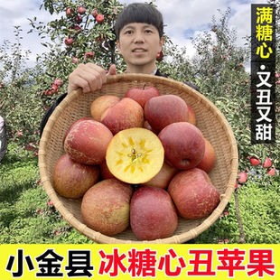 正宗小金县冰糖心丑苹果脆甜新鲜水果当季整箱包邮