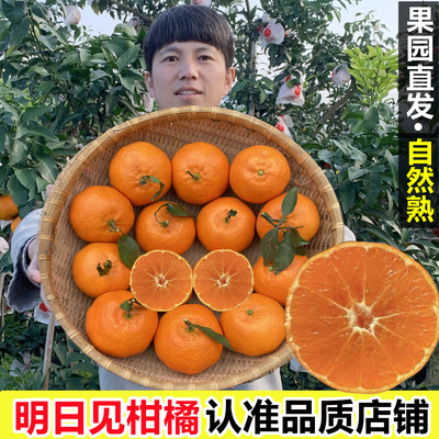 明日见柑橘皇后纯甜新品脆甜爽口