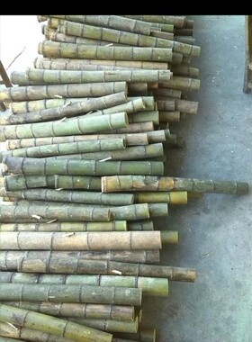 传统老竹子水烟筒大碌竹竿烟袋原生态无抛光上漆湛江云南纯天然竹
