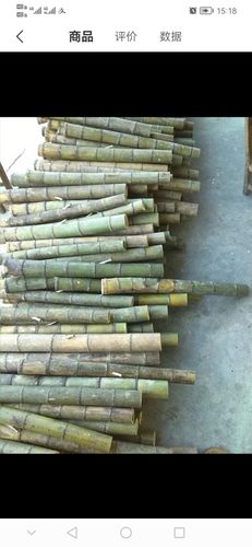 传统老竹子水烟筒大碌竹竿烟袋原生态无抛光上漆湛江云南纯天然竹