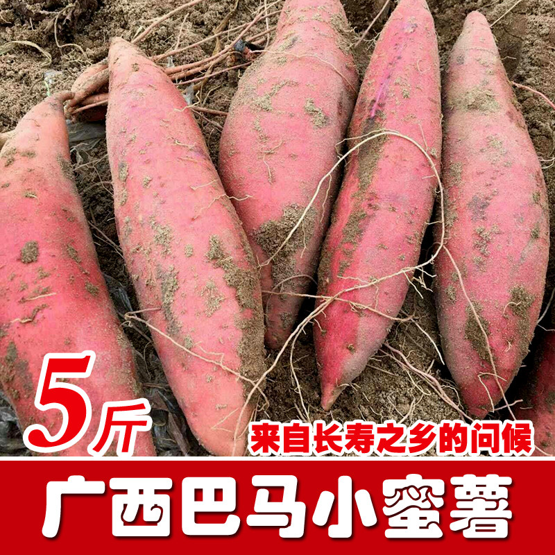 广西巴马小蜜薯新鲜西瓜红红薯番薯农家香薯糖心山芋地瓜5斤