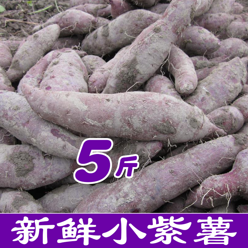 广西现挖红泥小紫薯新鲜5斤紫心红薯粉糯无筋丝农家自种粗粮地瓜