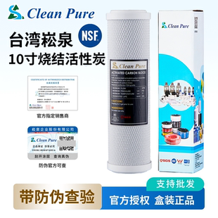 台湾进口崧泉10寸cto碳棒烧结块状碳滤芯 椰壳炭高效能吸附 NSF