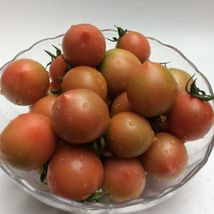 福建春桃圣女果新鲜樱桃小番茄西红柿非千禧应季水果5斤顺丰包邮