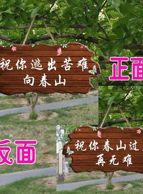 祝你逃出苦难向春山励志挂牌