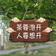 茶要泡开人要想开挂牌茶室茶座庭院民宿小院阳台复古书法书房装 饰
