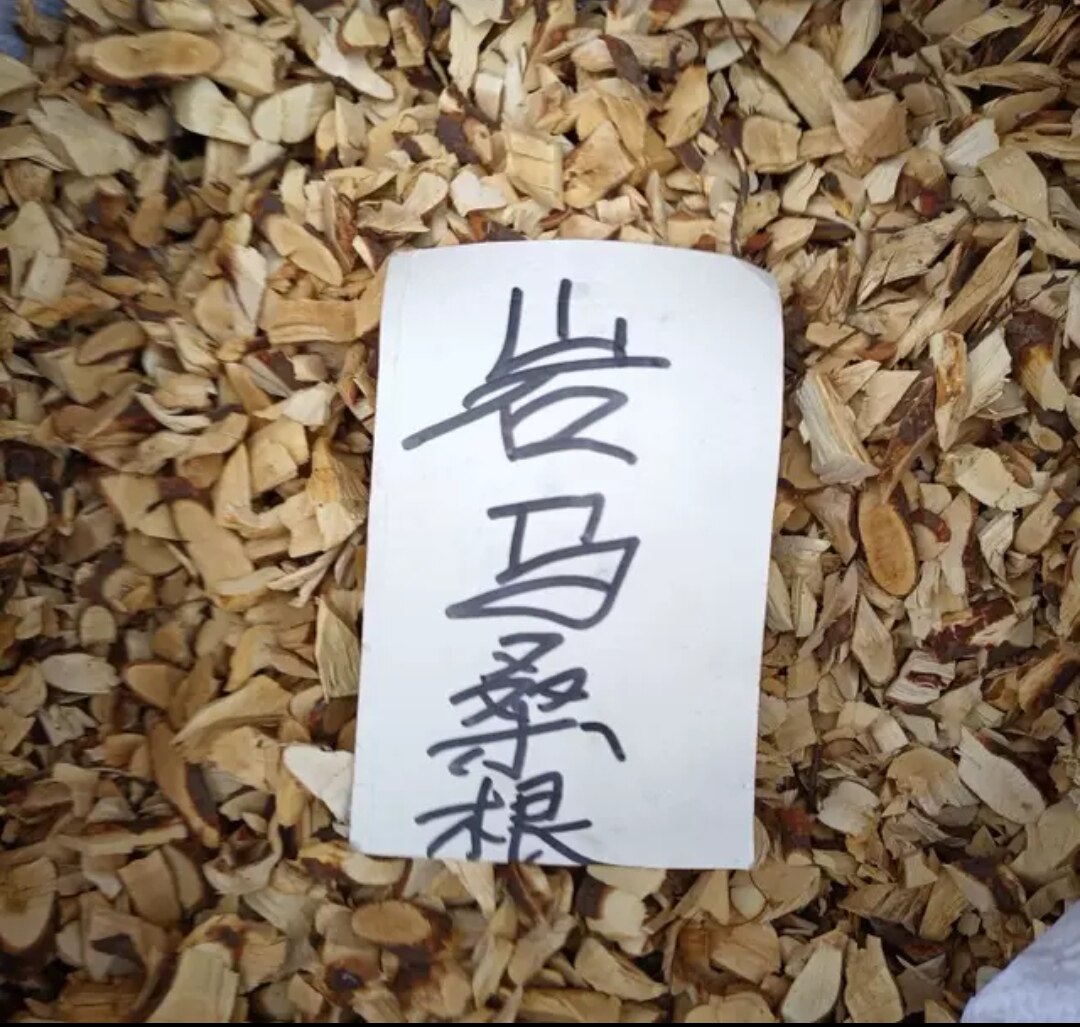 贵州高山岩马桑根黔东南苗族苗家山里岩马桑根