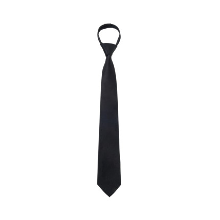 PURE2 BLACK SILK TIE 黑色桑蚕丝免打真丝领带