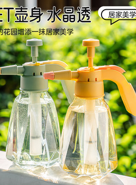 家用浇花喷水壶气压喷壶清洁专用