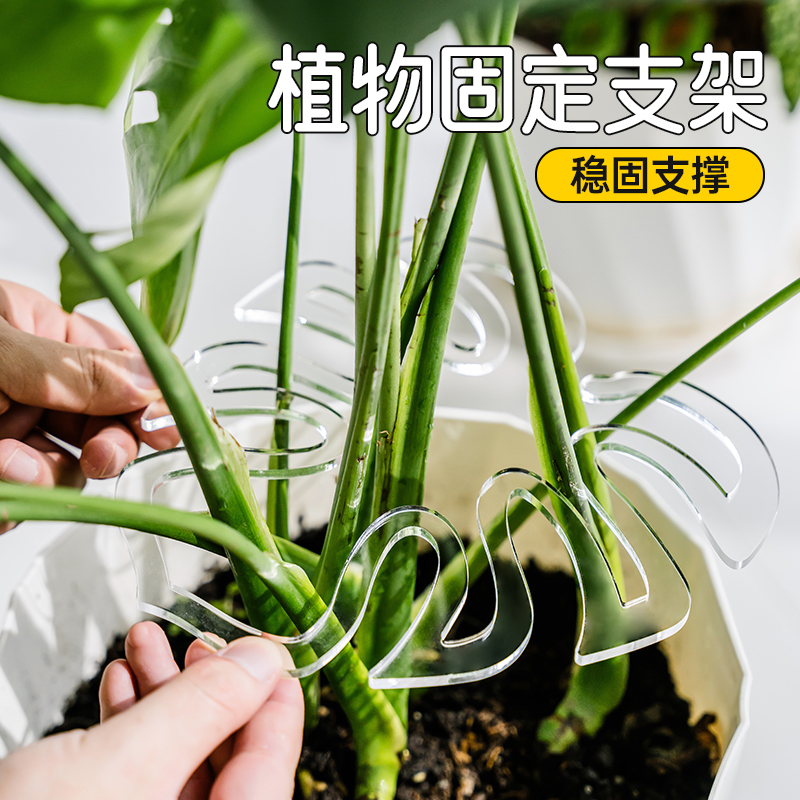 龟背竹支撑杆防倒伏支架水培植物固定器春雨富贵竹花茎枝干收拢器