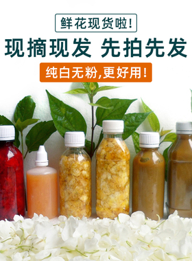 新鲜白色凤仙花鲜指甲草整朵打浆泡醋纯白指甲花白凤仙花种子花瓣